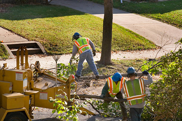 Best Lawn Pest Prevention  in Grand Meadow, MN